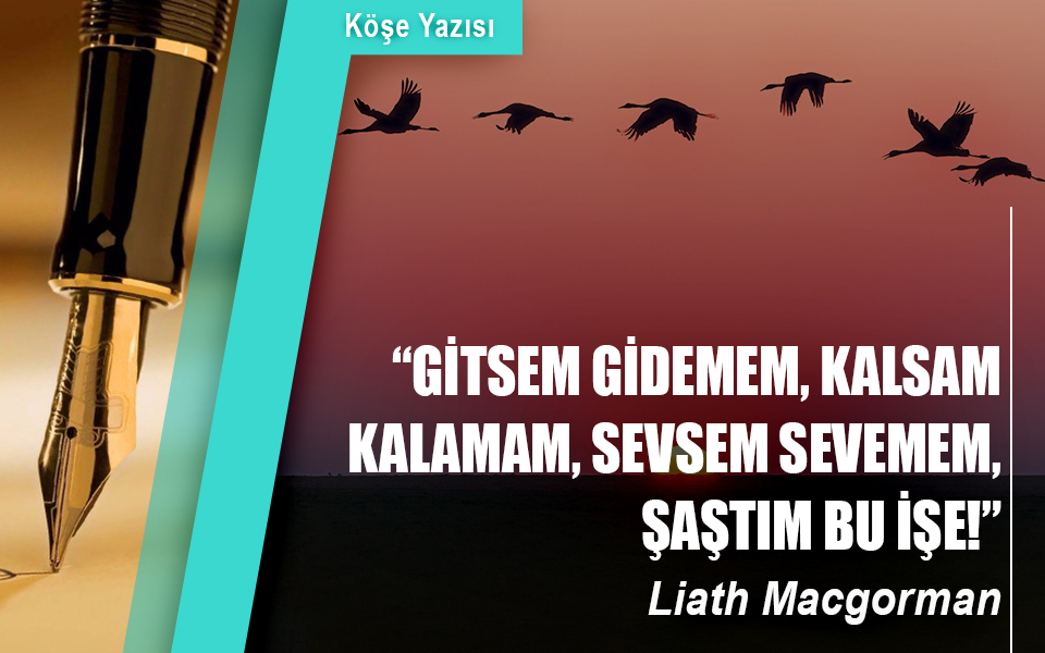 416177“Gitsem gidemem, kalsam kalamam, sevsem sevemem, şaştım bu işe!”.jpg